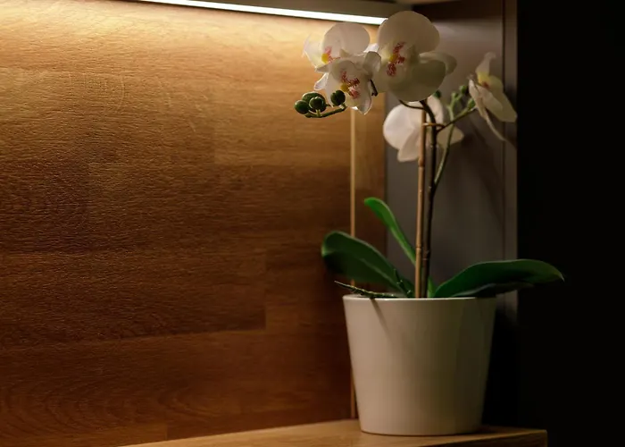 S9 Rrlux Free Parking 아파트