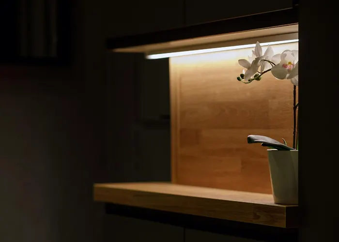 S9 Rrlux Free Parking