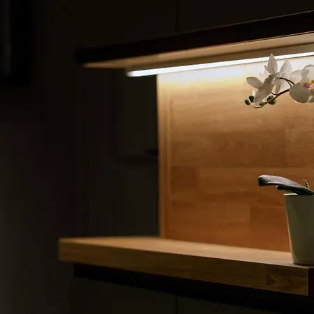 S9 Rrlux Free Parking